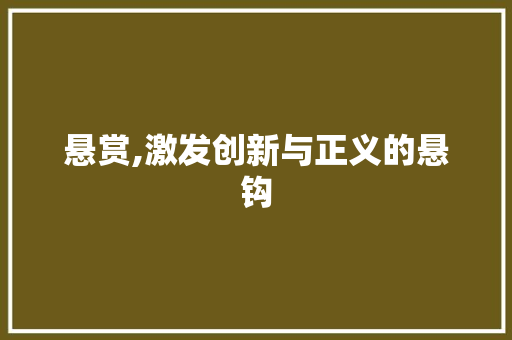 悬赏,激发创新与正义的悬钩