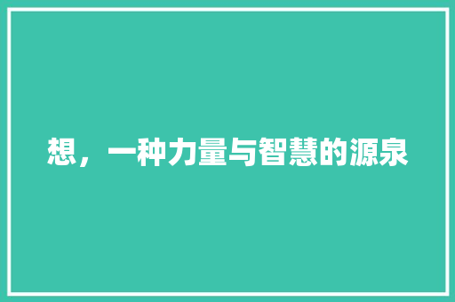 想，一种力量与智慧的源泉