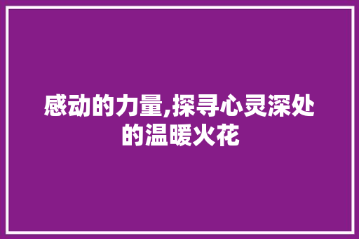 感动的力量,探寻心灵深处的温暖火花