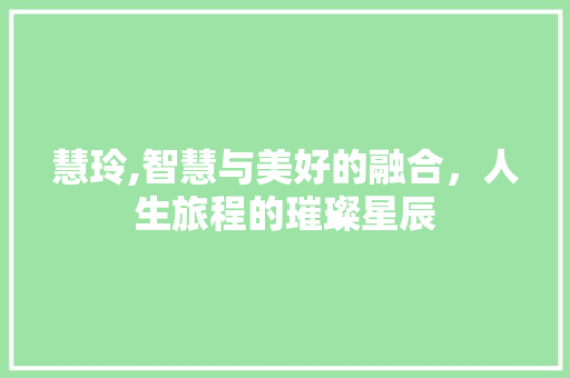慧玲,智慧与美好的融合，人生旅程的璀璨星辰 范文参考