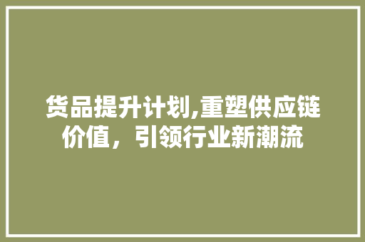 货品提升计划,重塑供应链价值，引领行业新潮流