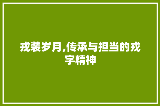 戎装岁月,传承与担当的戎字精神