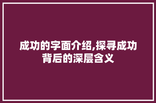 成功的字面介绍,探寻成功背后的深层含义