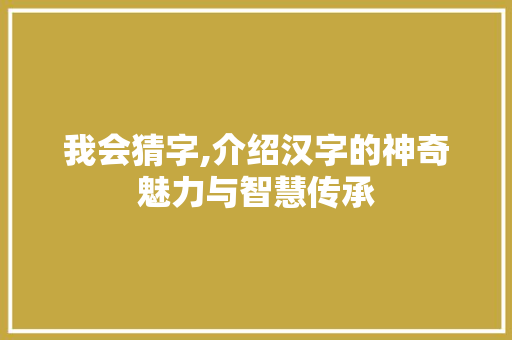 我会猜字,介绍汉字的神奇魅力与智慧传承