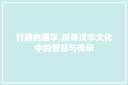 打通的通字,探寻汉字文化中的智慧与传承