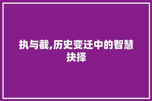 执与截,历史变迁中的智慧抉择