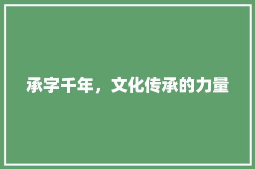 承字千年，文化传承的力量 商业计划书范文