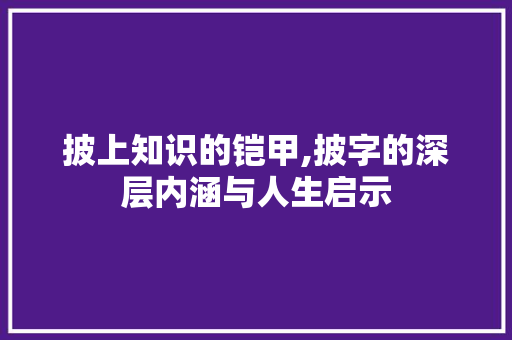 披上知识的铠甲,披字的深层内涵与人生启示