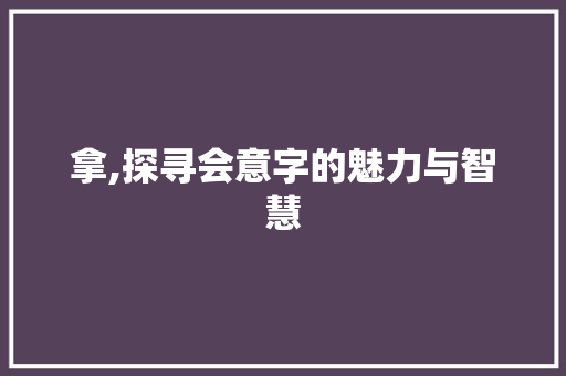 拿,探寻会意字的魅力与智慧 范文参考