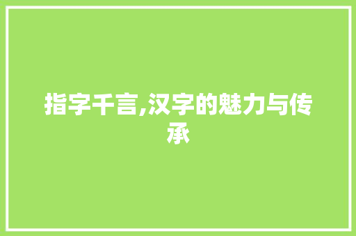指字千言,汉字的魅力与传承