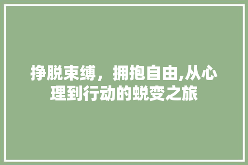 挣脱束缚，拥抱自由,从心理到行动的蜕变之旅 优秀范文