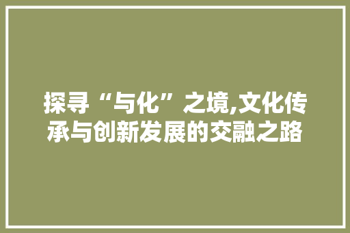 探寻“与化”之境,文化传承与创新发展的交融之路