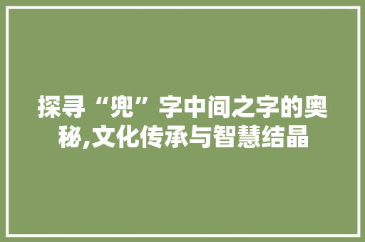 探寻“兜”字中间之字的奥秘,文化传承与智慧结晶 范文之家