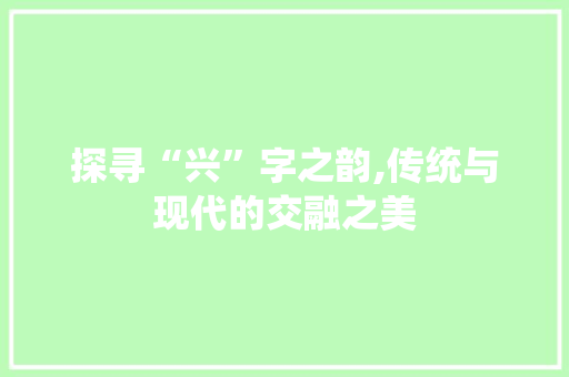 探寻“兴”字之韵,传统与现代的交融之美