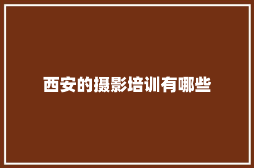 西安的摄影培训有哪些