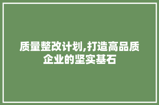 质量整改计划,打造高品质企业的坚实基石