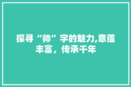 探寻“帅”字的魅力,意蕴丰富，传承千年