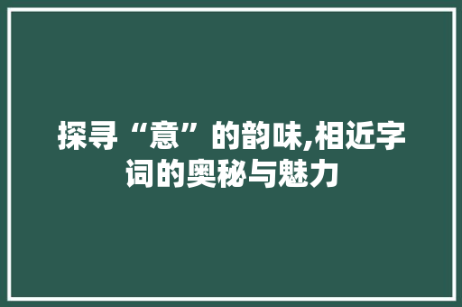 探寻“意”的韵味,相近字词的奥秘与魅力