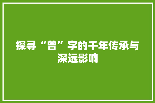探寻“曾”字的千年传承与深远影响