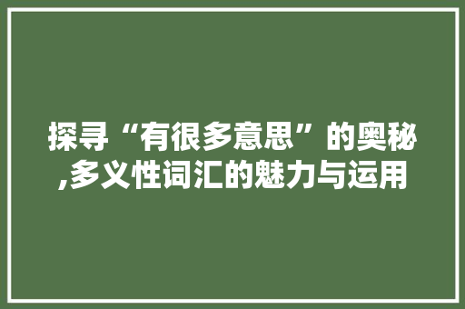 探寻“有很多意思”的奥秘,多义性词汇的魅力与运用