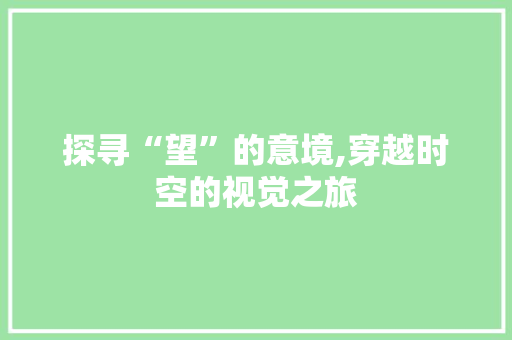 探寻“望”的意境,穿越时空的视觉之旅
