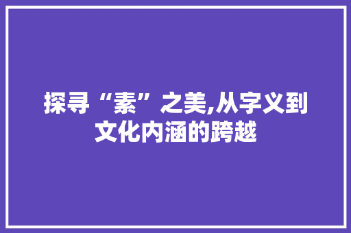 探寻“素”之美,从字义到文化内涵的跨越 优秀范文