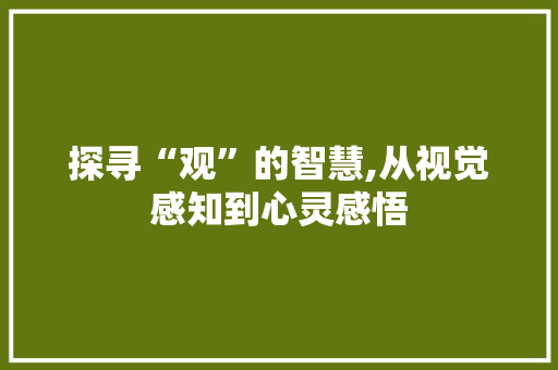 探寻“观”的智慧,从视觉感知到心灵感悟