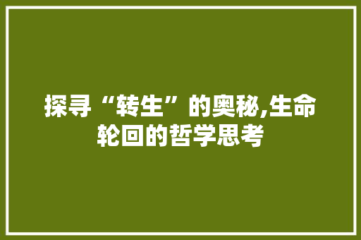 探寻“转生”的奥秘,生命轮回的哲学思考 范文资源