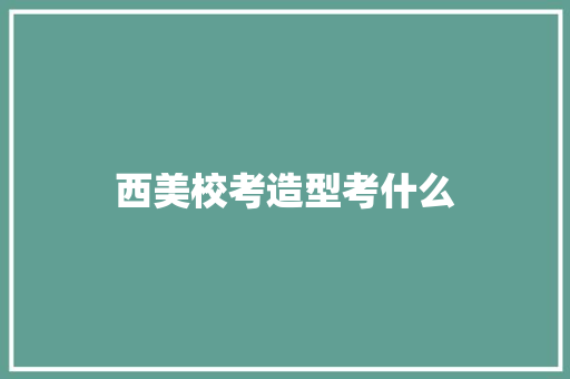 西美校考造型考什么