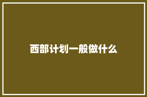 西部计划一般做什么