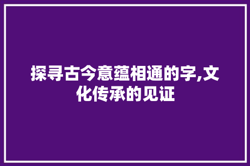 探寻古今意蕴相通的字,文化传承的见证