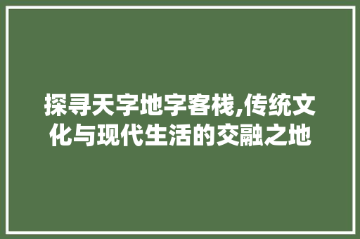 探寻天字地字客栈,传统文化与现代生活的交融之地