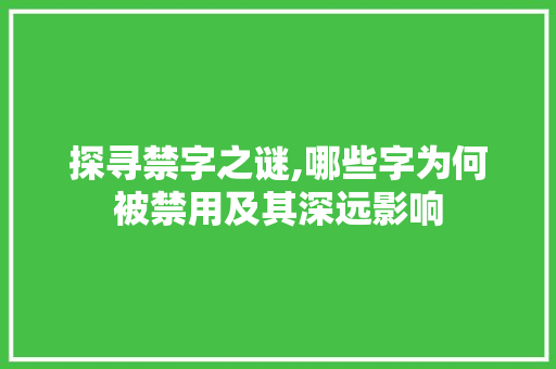 探寻禁字之谜,哪些字为何被禁用及其深远影响