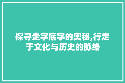 探寻走字底字的奥秘,行走于文化与历史的脉络