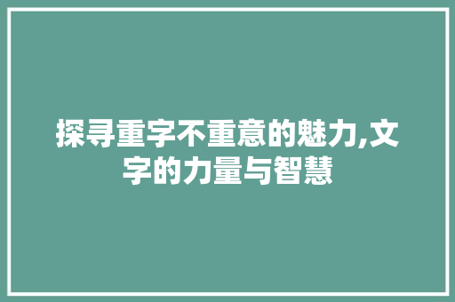 探寻重字不重意的魅力,文字的力量与智慧