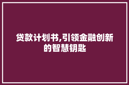 贷款计划书,引领金融创新的智慧钥匙