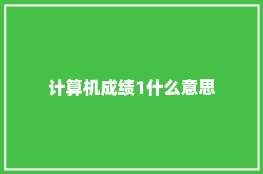 计算机成绩1什么意思