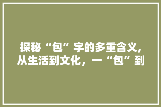 探秘“包”字的多重含义,从生活到文化，一“包”到底