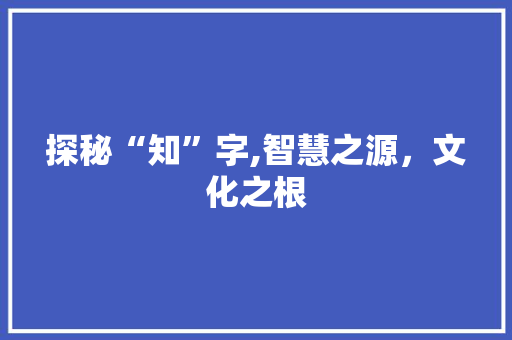 探秘“知”字,智慧之源，文化之根