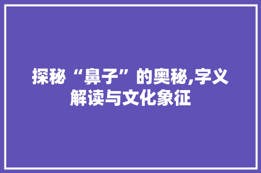 探秘“鼻子”的奥秘,字义解读与文化象征