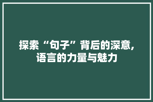 探索“句子”背后的深意,语言的力量与魅力
