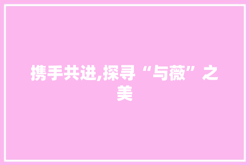 携手共进,探寻“与薇”之美
