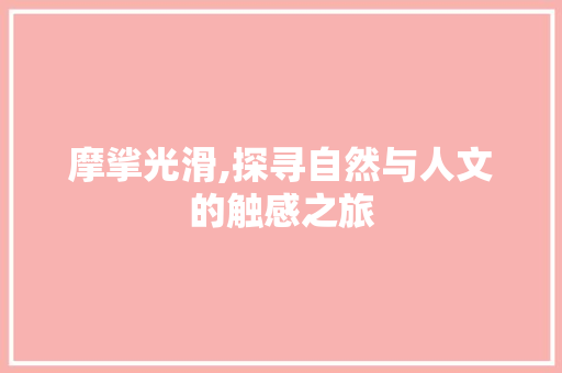 摩挲光滑,探寻自然与人文的触感之旅