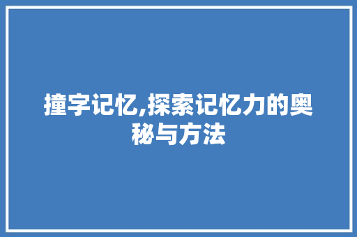 撞字记忆,探索记忆力的奥秘与方法