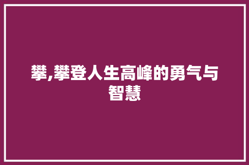 攀,攀登人生高峰的勇气与智慧
