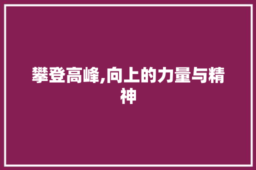 攀登高峰,向上的力量与精神