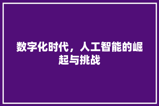 数字化时代，人工智能的崛起与挑战