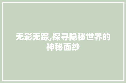 无影无踪,探寻隐秘世界的神秘面纱