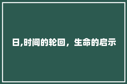 日,时间的轮回，生命的启示