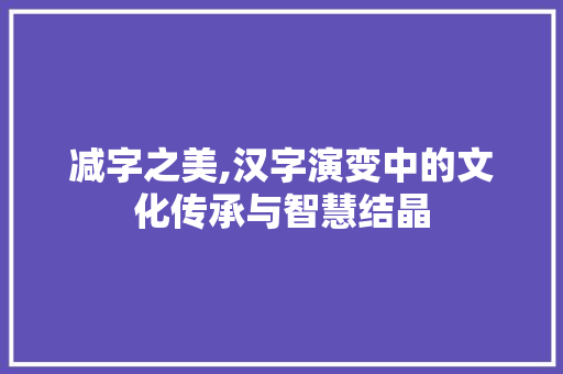 减字之美,汉字演变中的文化传承与智慧结晶